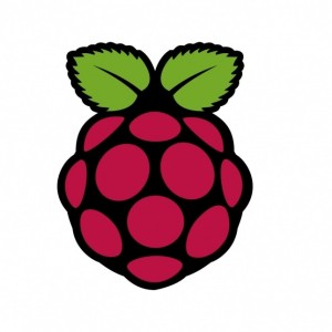 Raspberry Pi logo